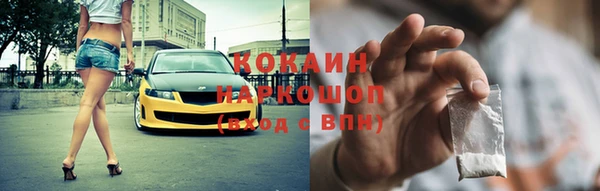 сатива Долгопрудный