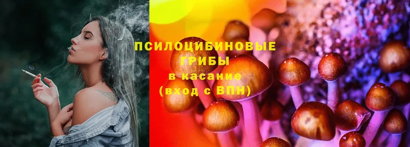 mega ссылка  купить  цена  Нижнекамск  Галлюциногенные грибы Cubensis 