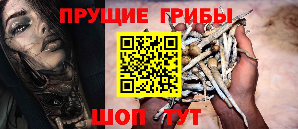 Нижнекамск  Псилоцибиновые грибы MAGIC MUSHROOMS  Вход с VPN 